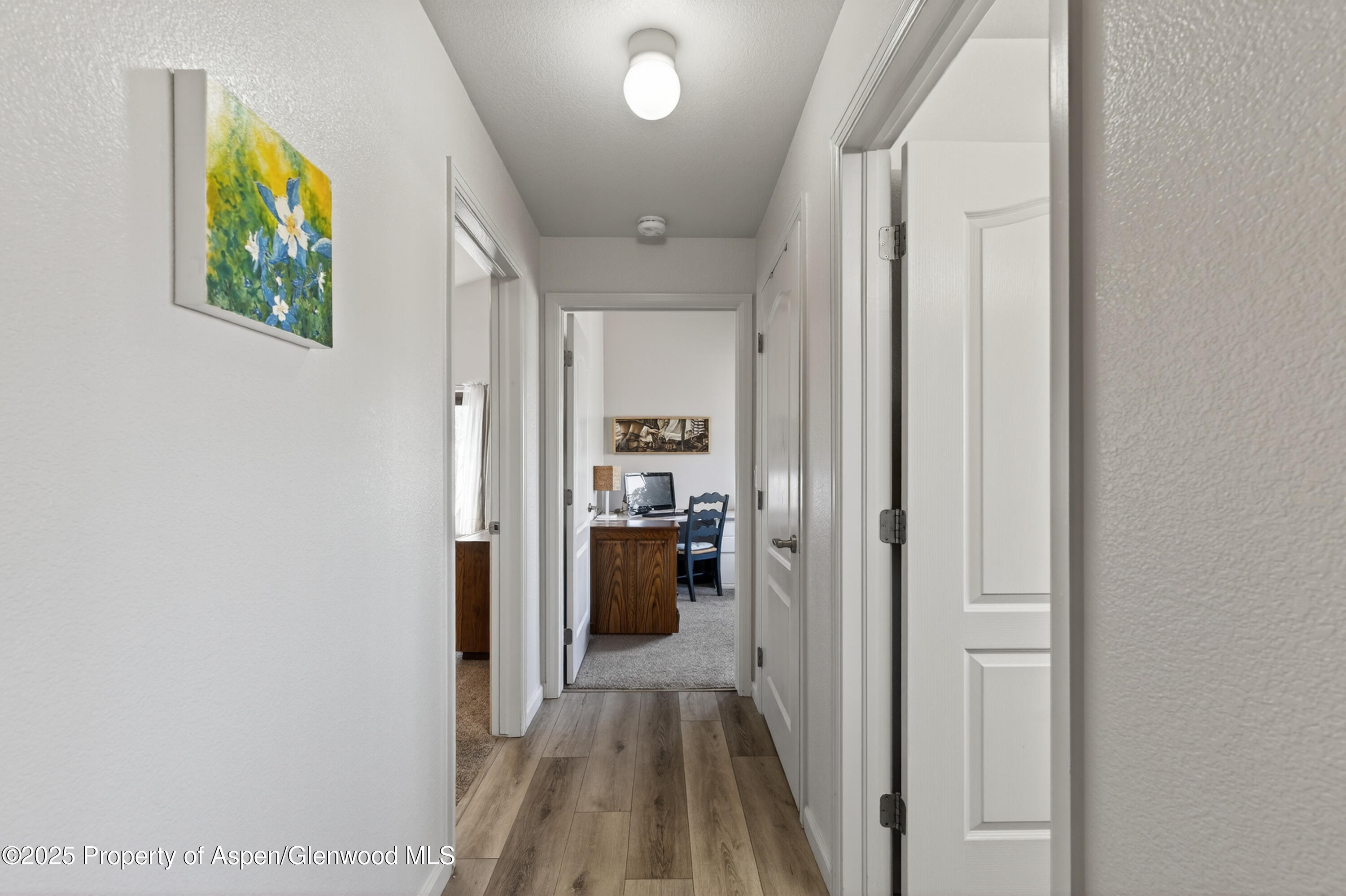 433 River View Drive New Castle CO 81647