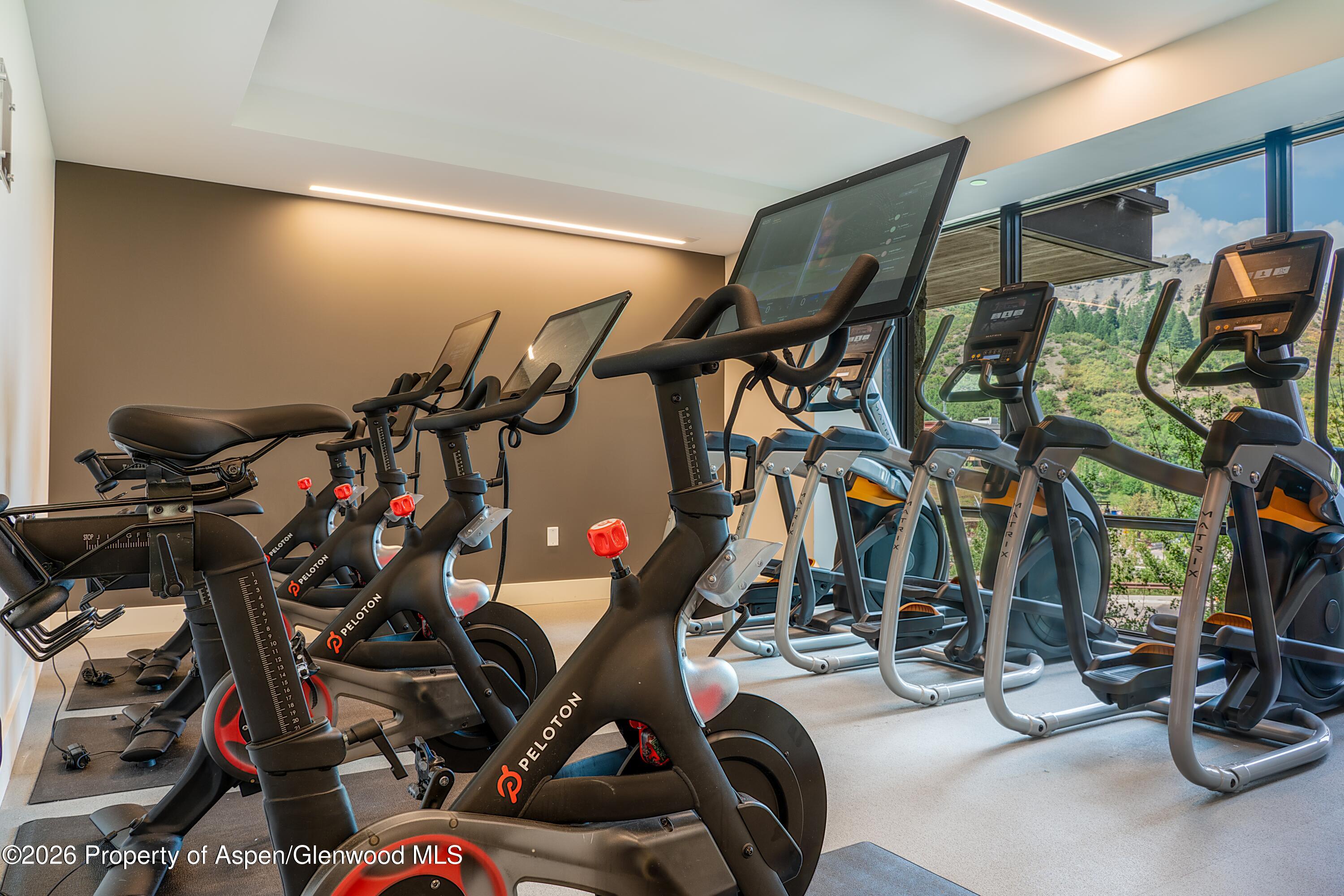 77 Wood Road Aspen CO 81611