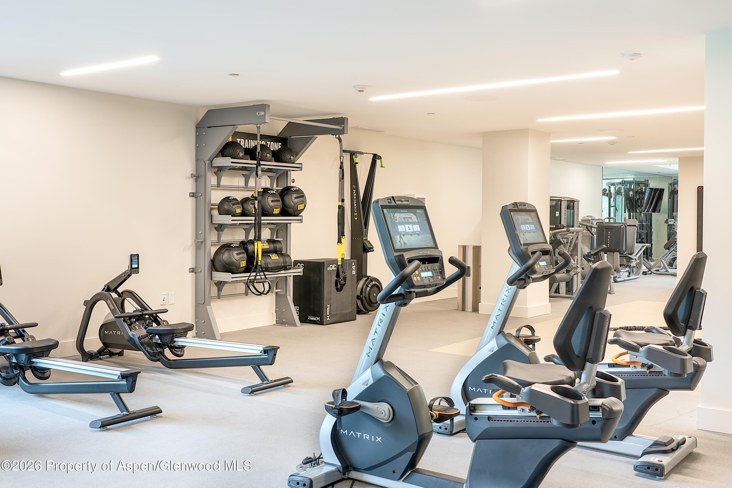 77 Wood Road Aspen CO 81611