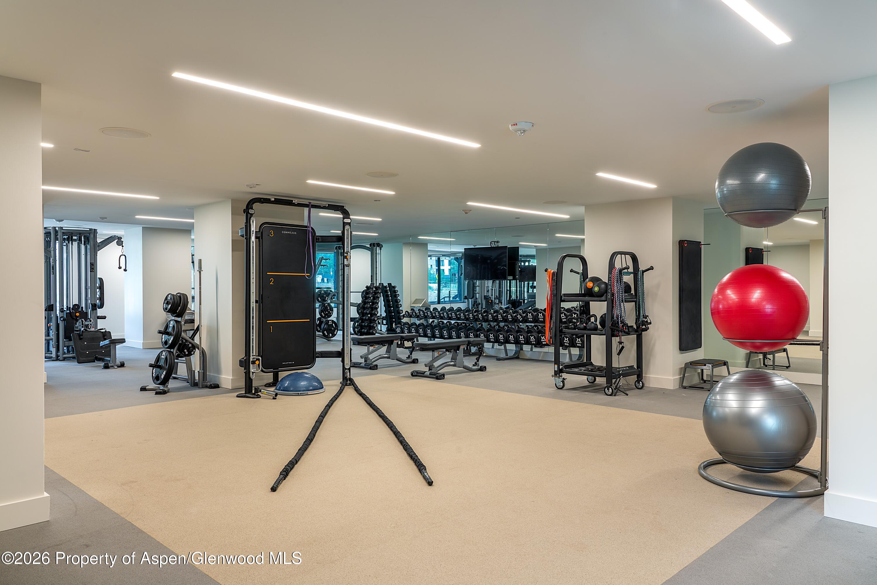 77 Wood Road Aspen CO 81611