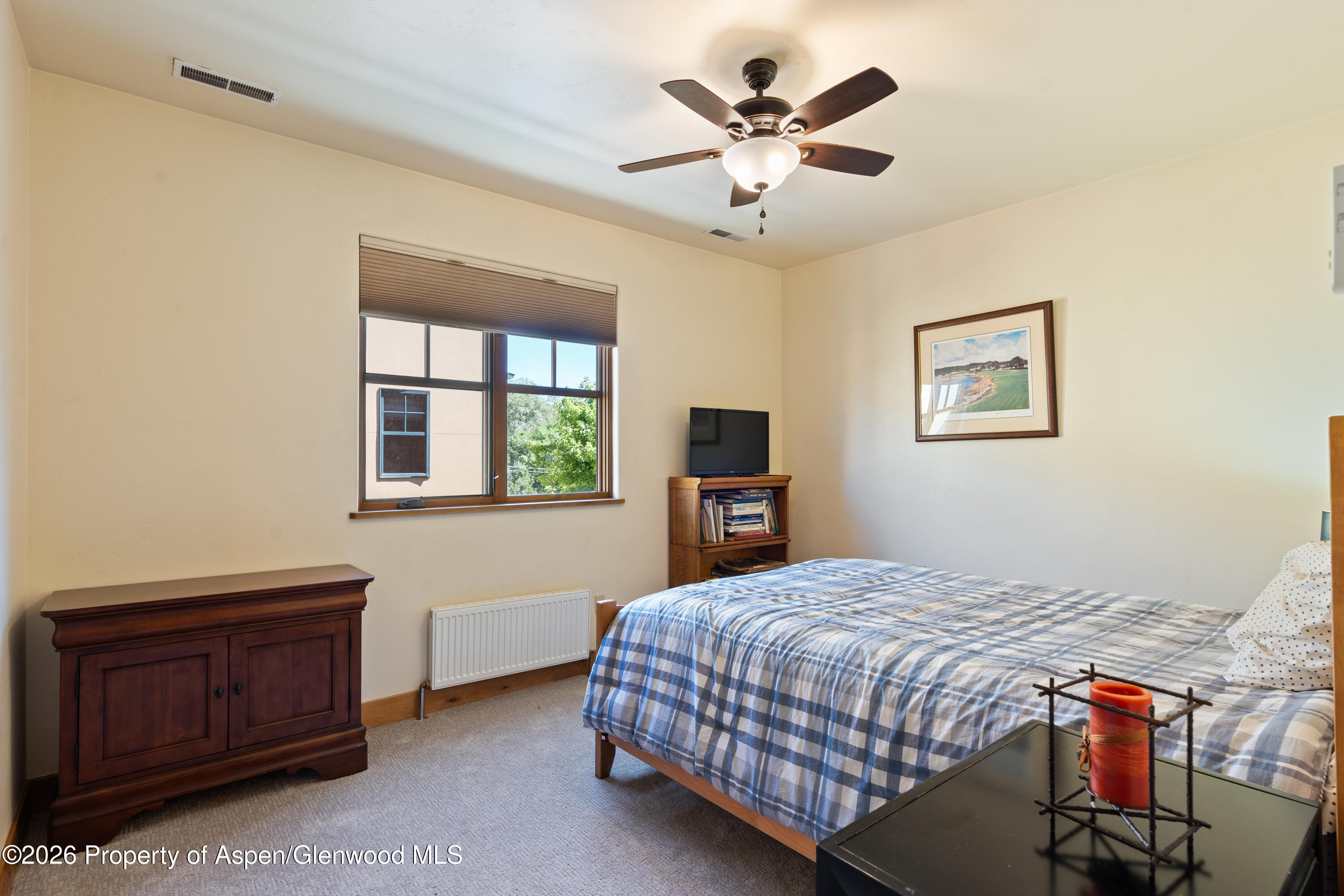 1017 Main Street Carbondale CO 81623