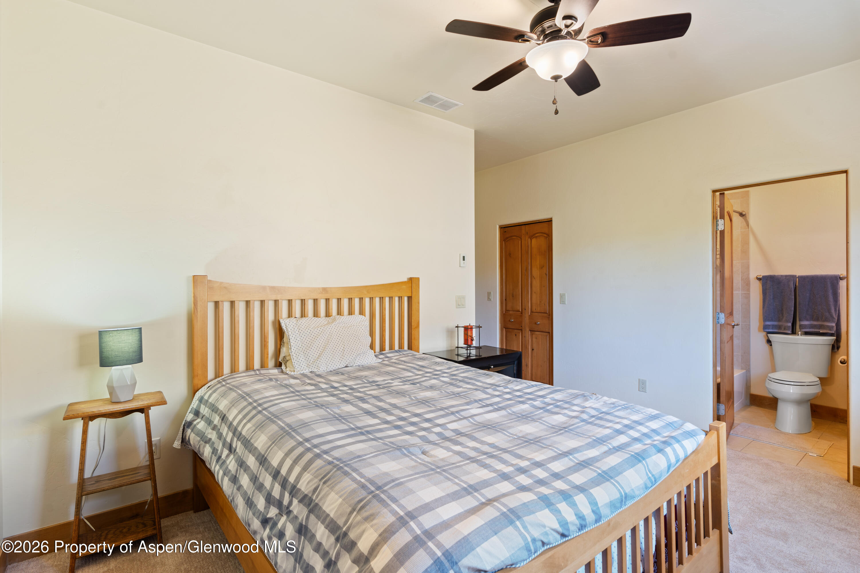1017 Main Street Carbondale CO 81623