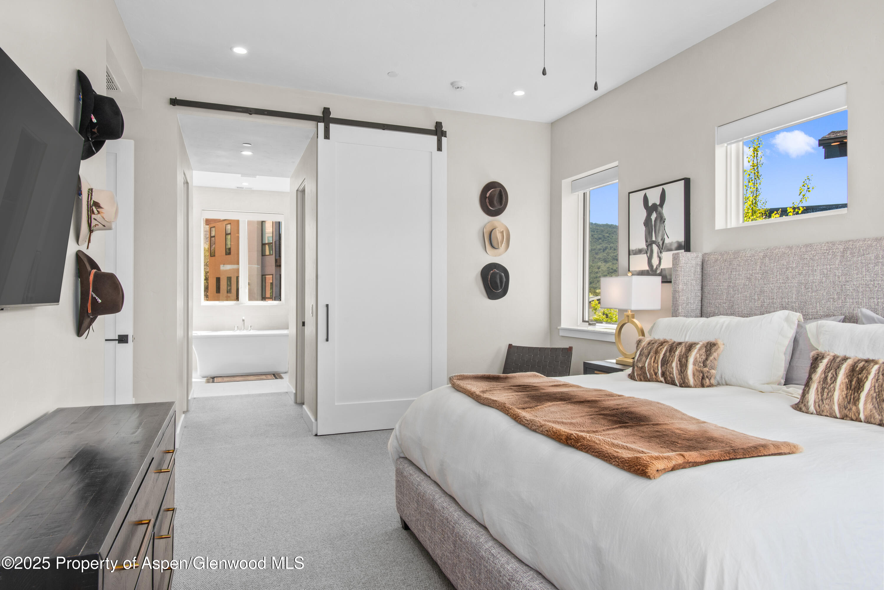 236 Overlook Ridge Basalt CO 81621