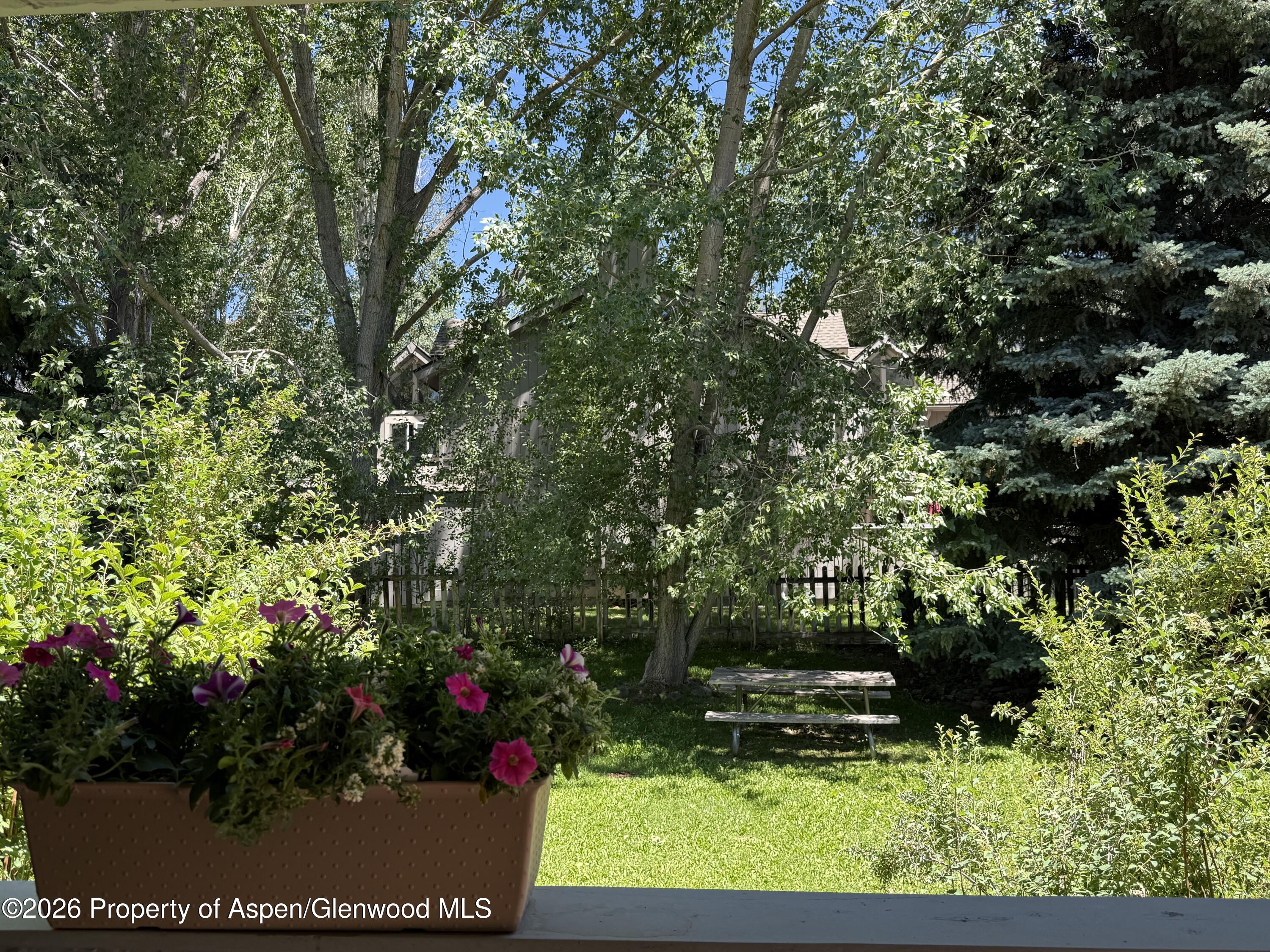 3102 Elk Lane Basalt CO 81621