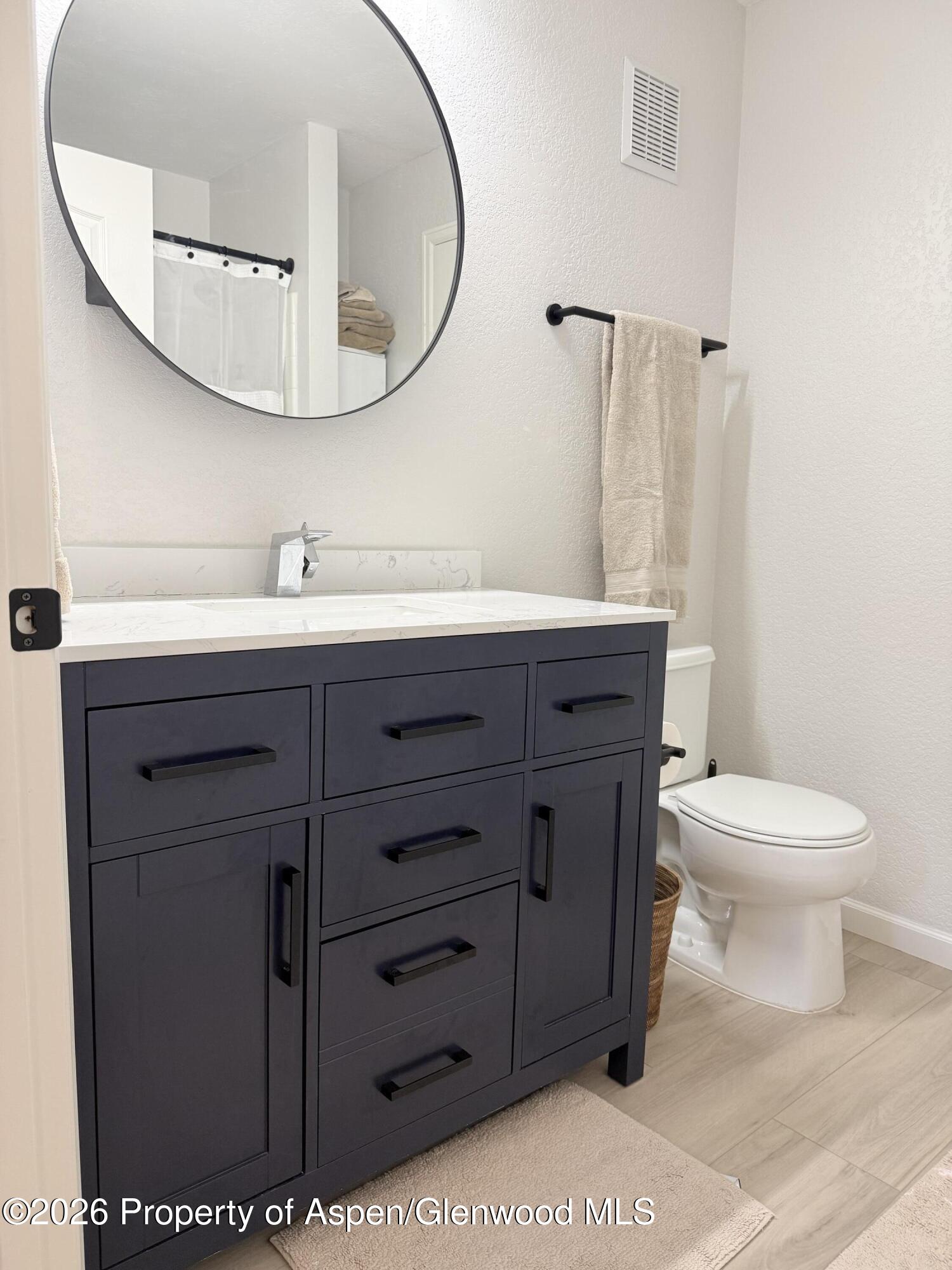 3102 Elk Lane Basalt CO 81621