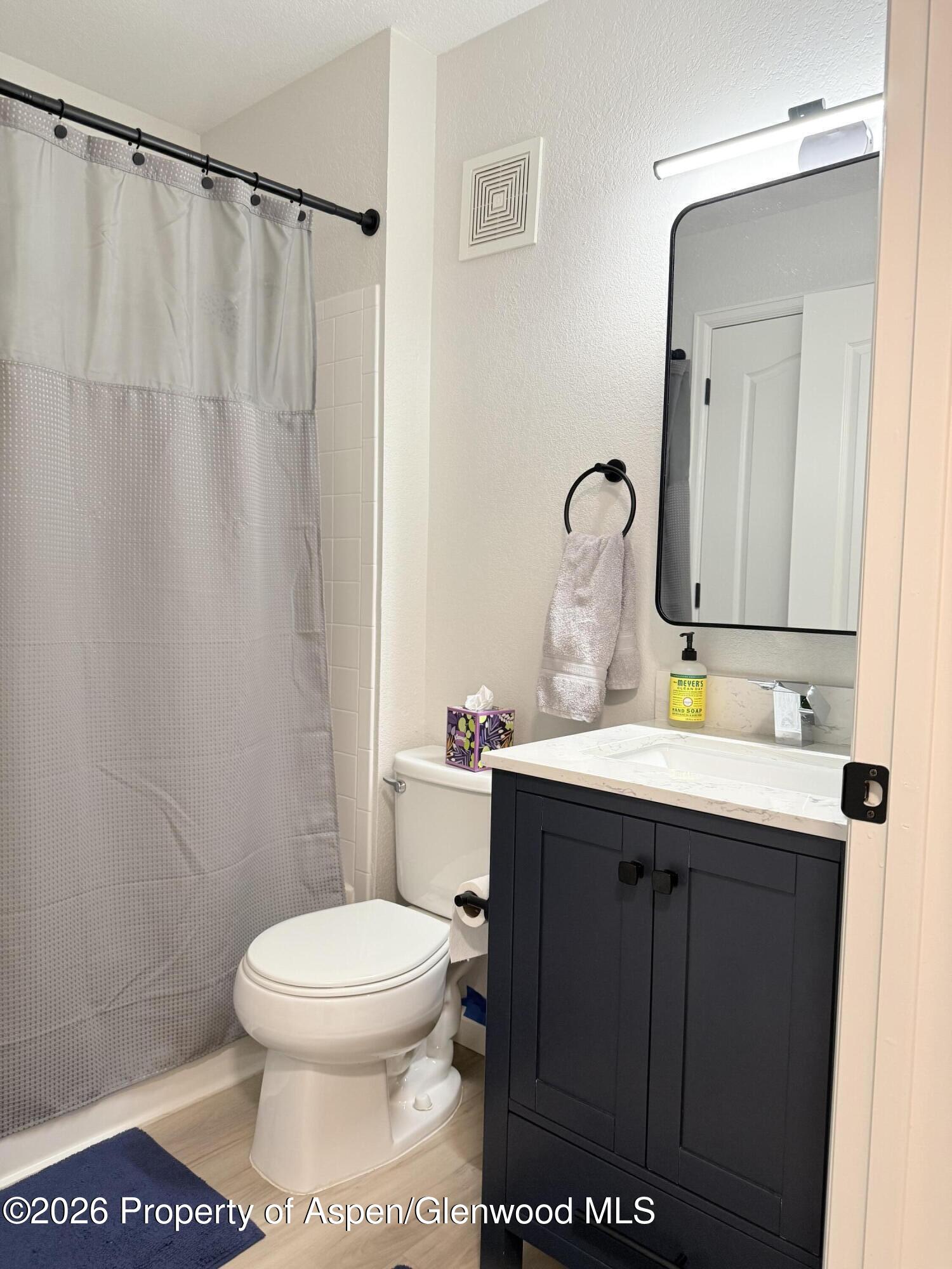 3102 Elk Lane Basalt CO 81621