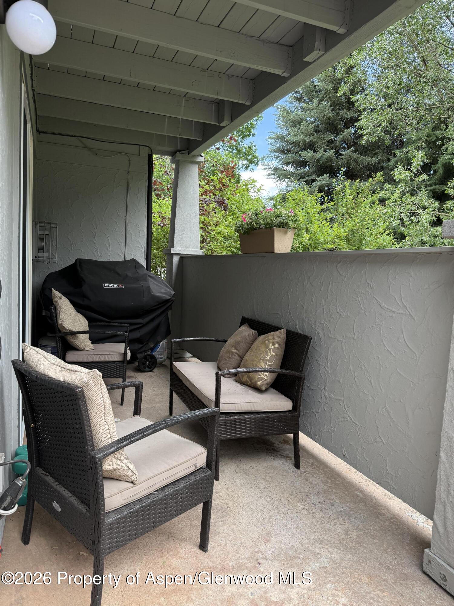 3102 Elk Lane Basalt CO 81621