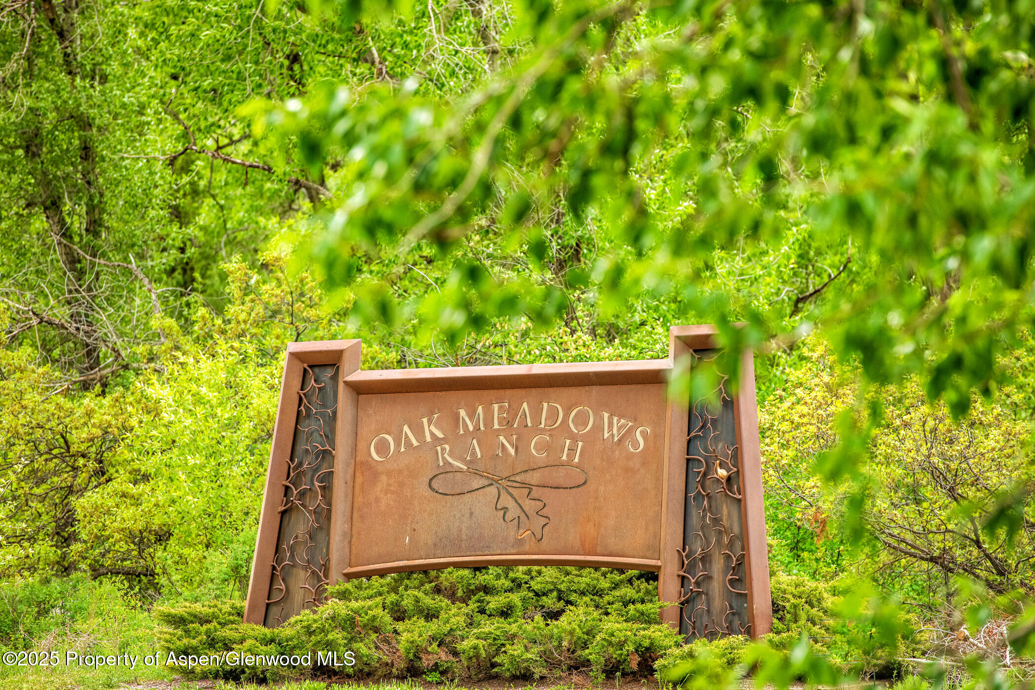 18 S Meadow View Court Glenwood Springs CO 81601