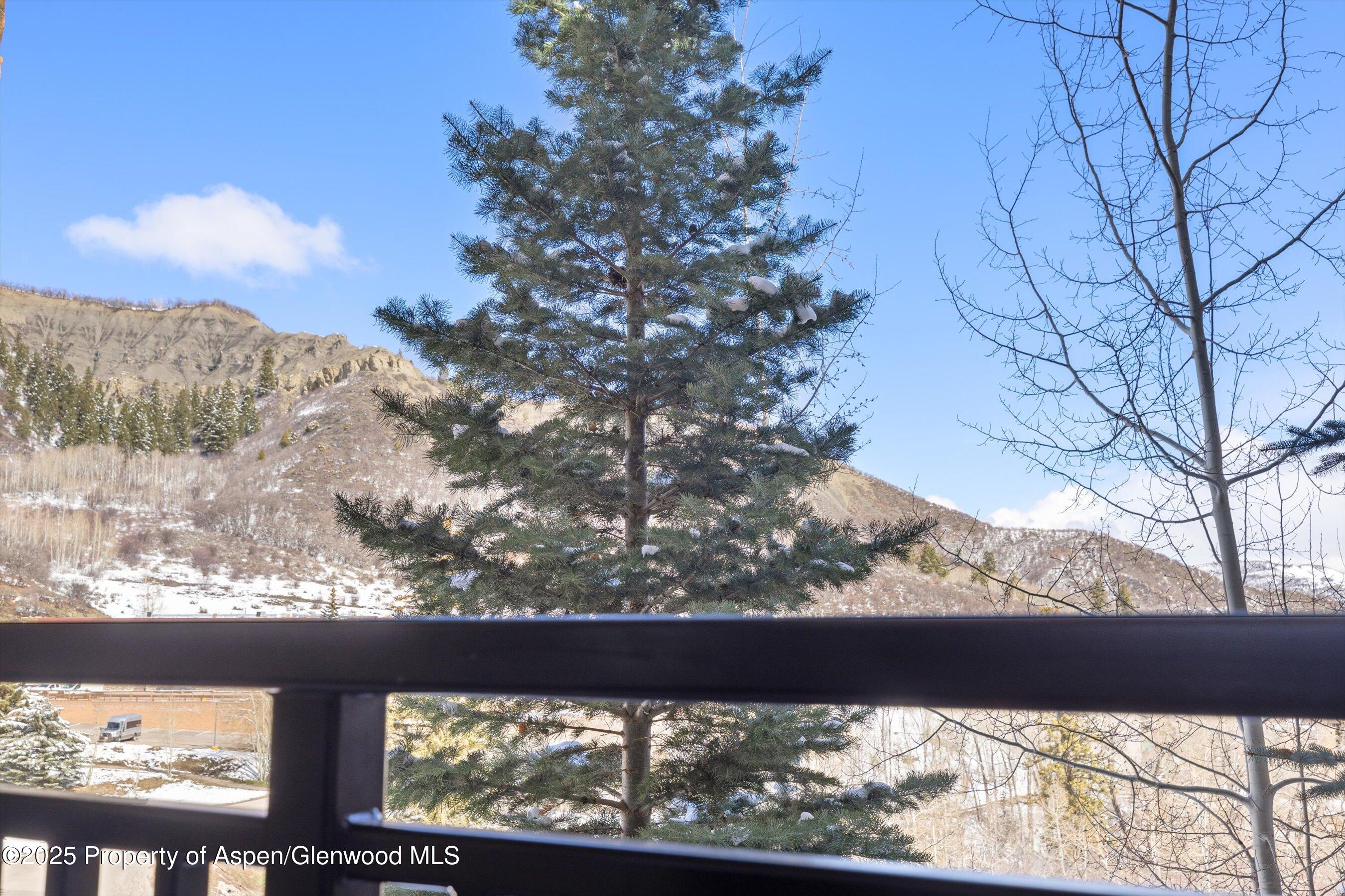 130 Wood Road 314/316 Snowmass Village CO 81615