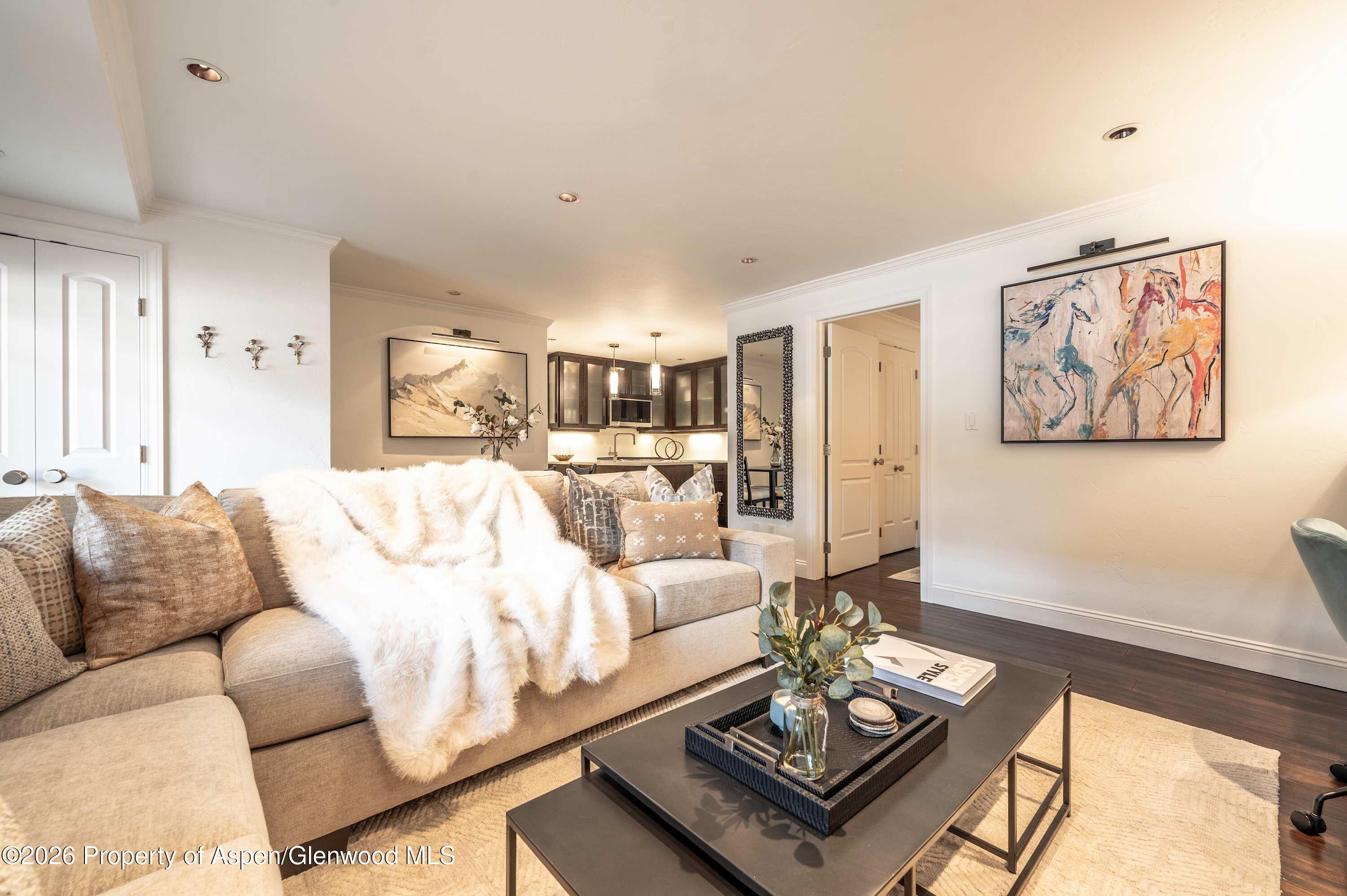 Aspen CO, 747 S Galena Street, Unit Unit 110