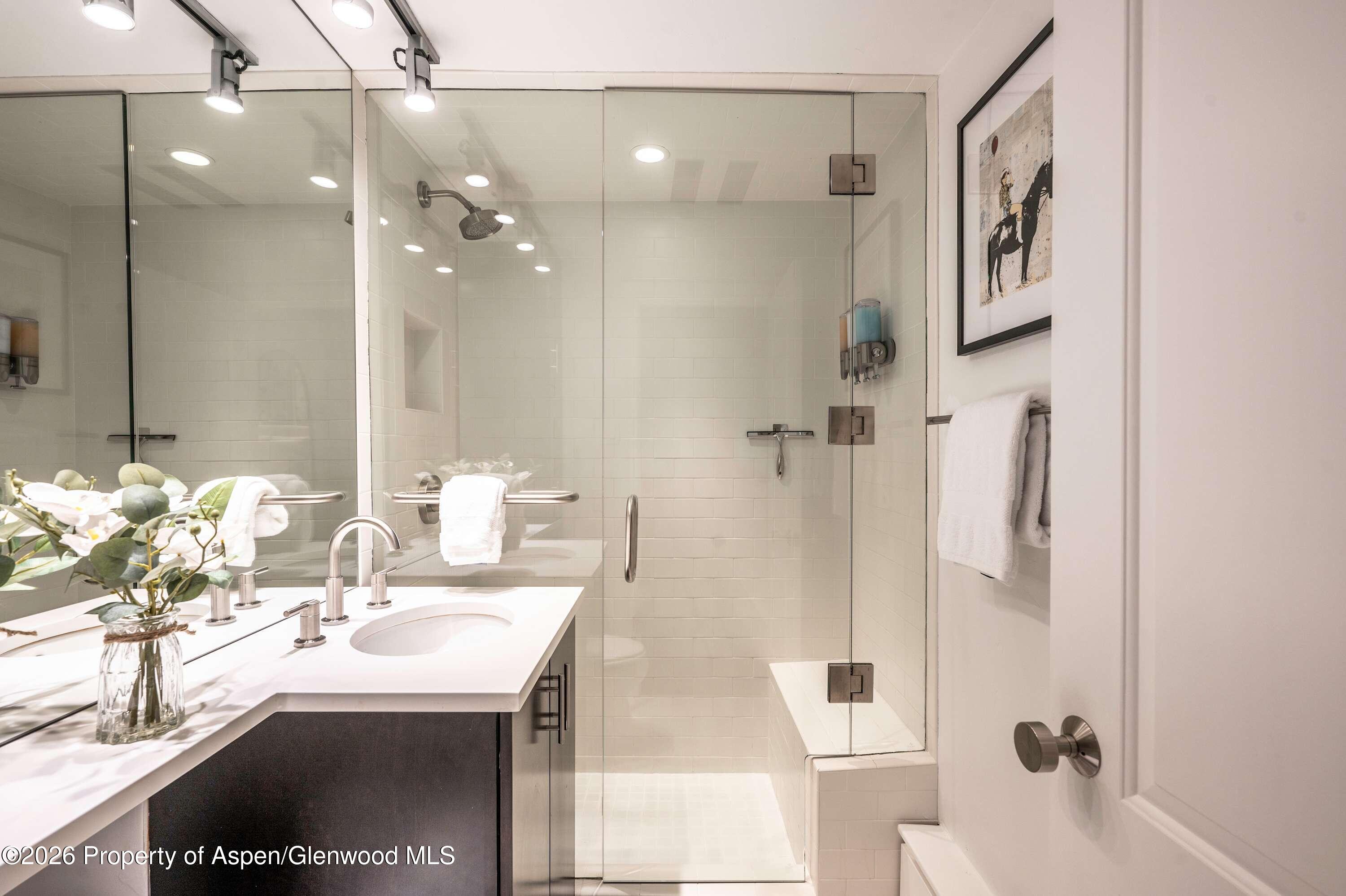 747 S Galena Street Aspen CO 81611