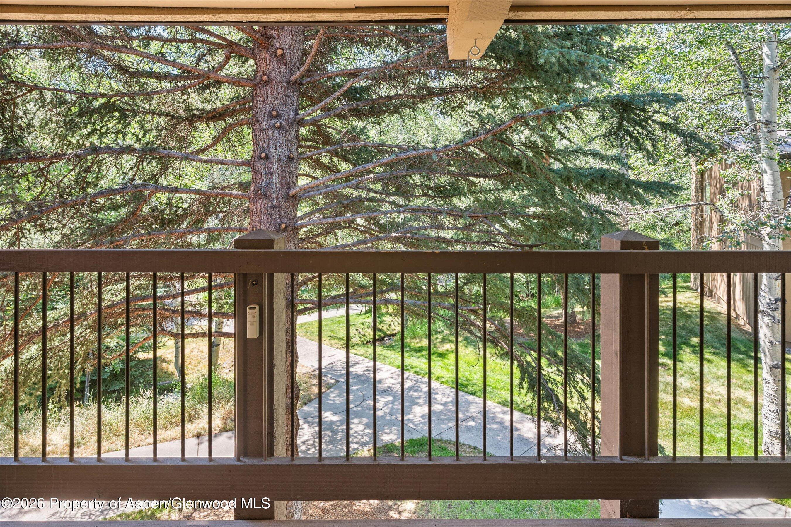35 Upper Woodbridge Road Snowmass Village CO 81615