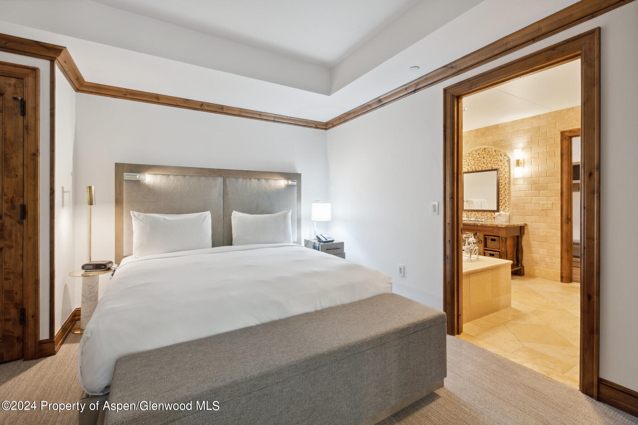 415 E Dean Street, #7, Week 6 Aspen CO 81611