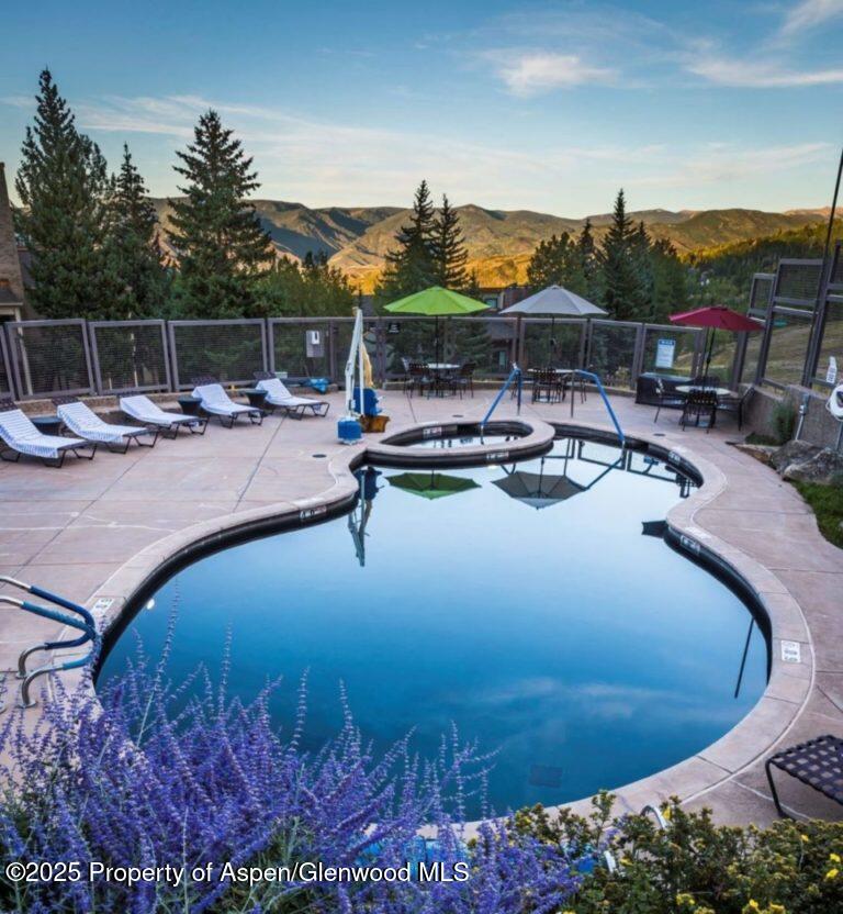 690 Carriage Way Snowmass Village CO 81615