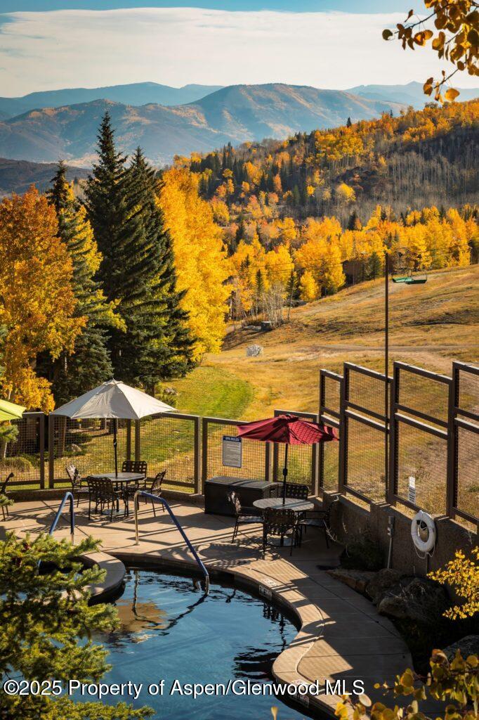 690 Carriage Way Snowmass Village CO 81615