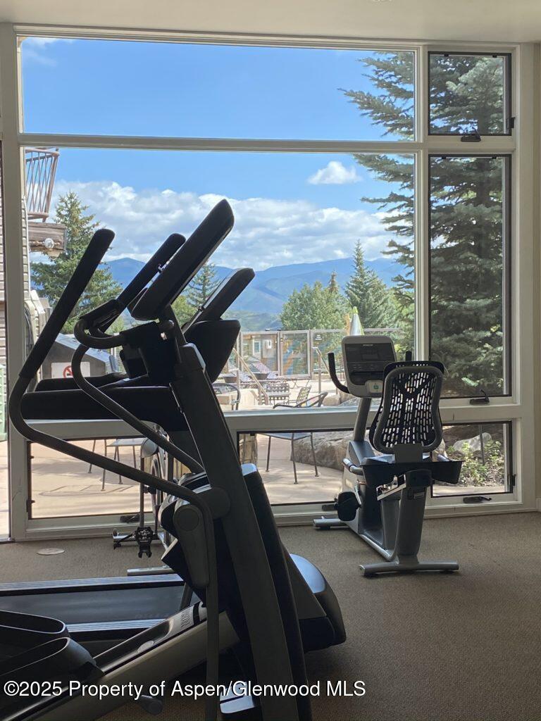 690 Carriage Way Snowmass Village CO 81615