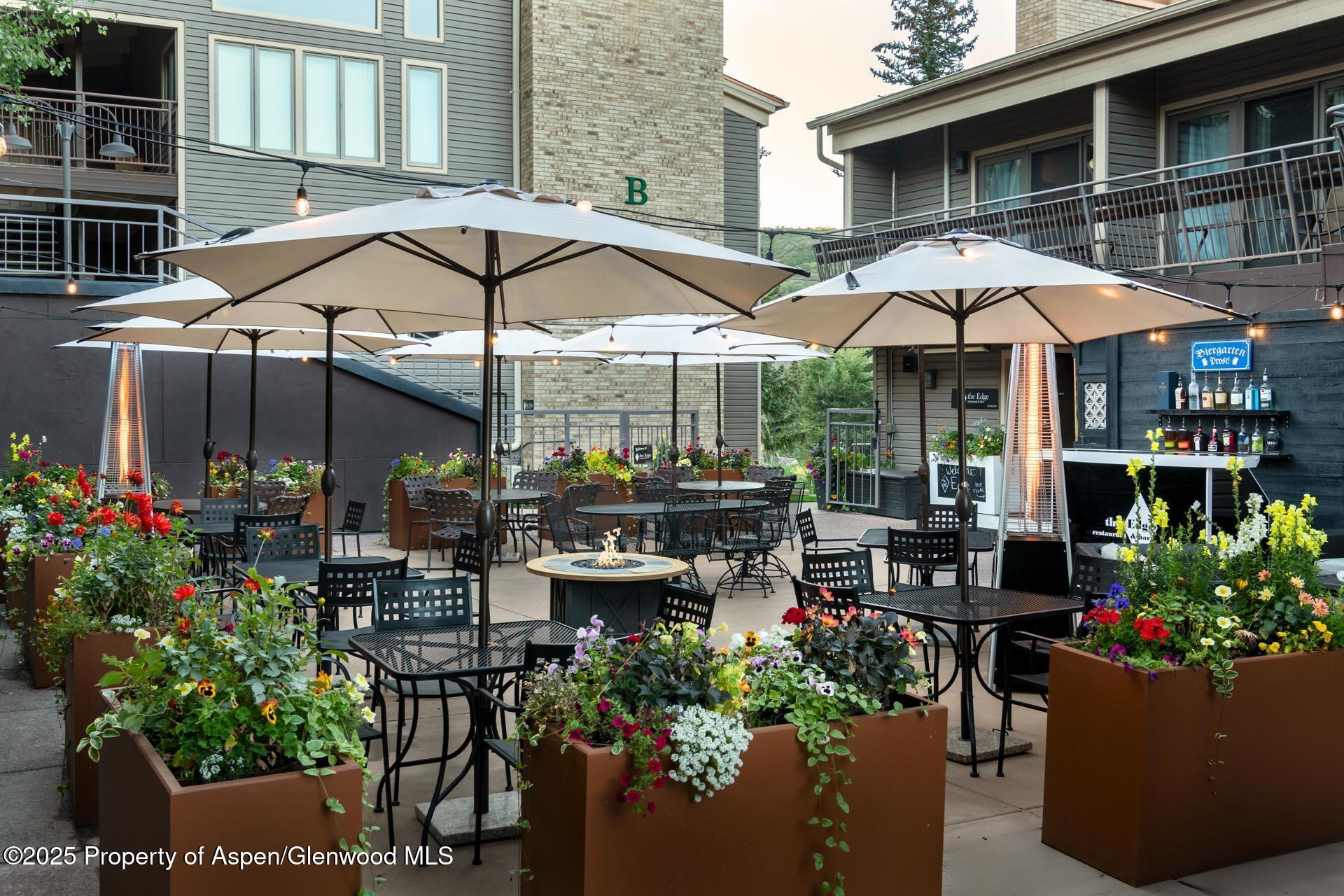 690 Carriage Way Snowmass Village CO 81615