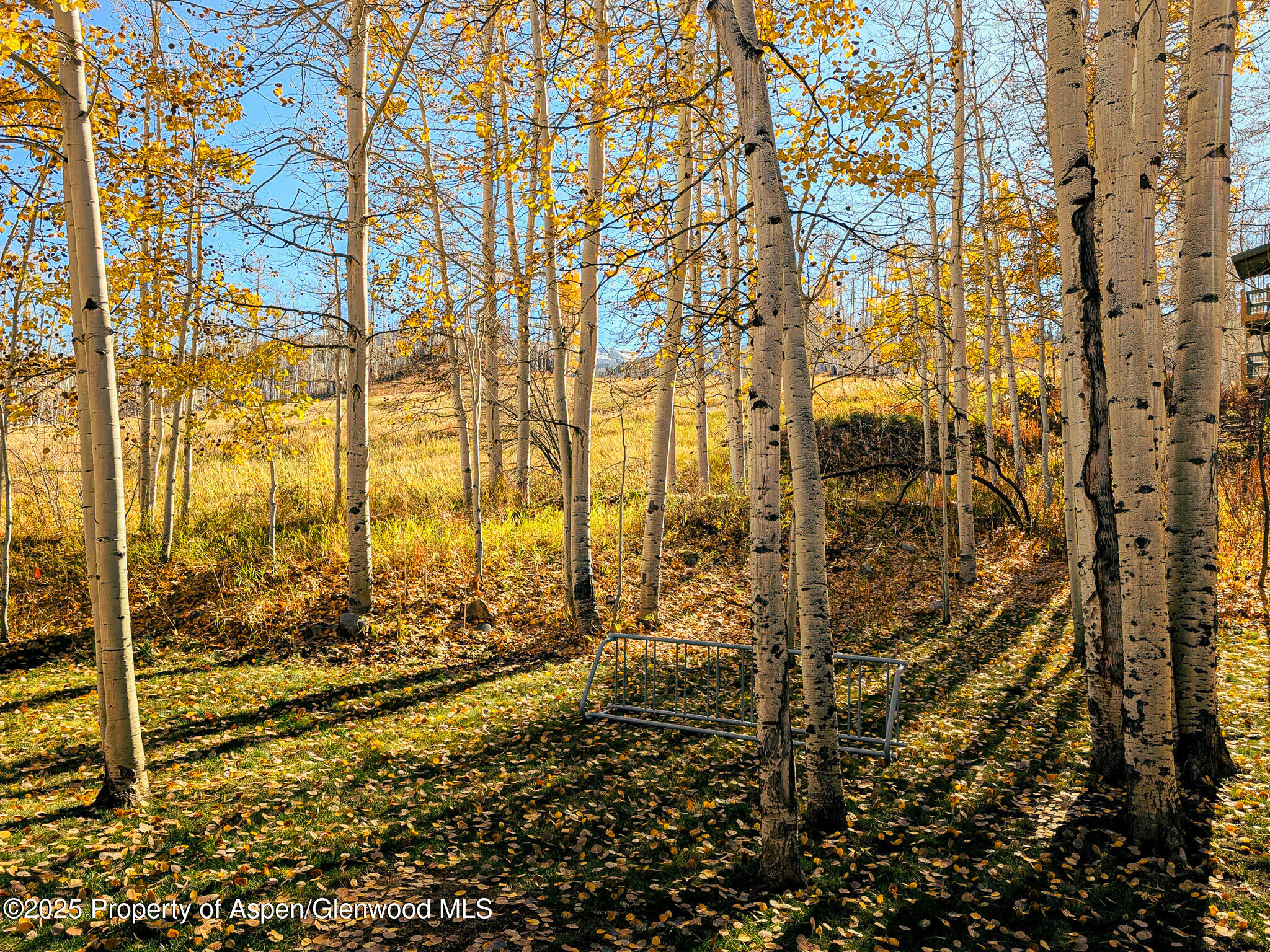 690 Carriage Way Snowmass Village CO 81615