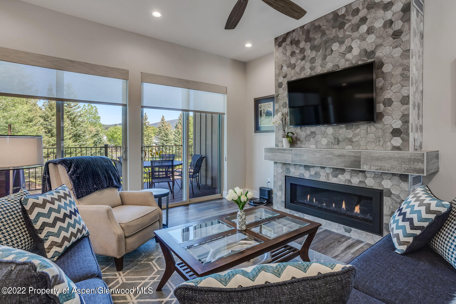 208 Lewies Circle Carbondale CO 81623