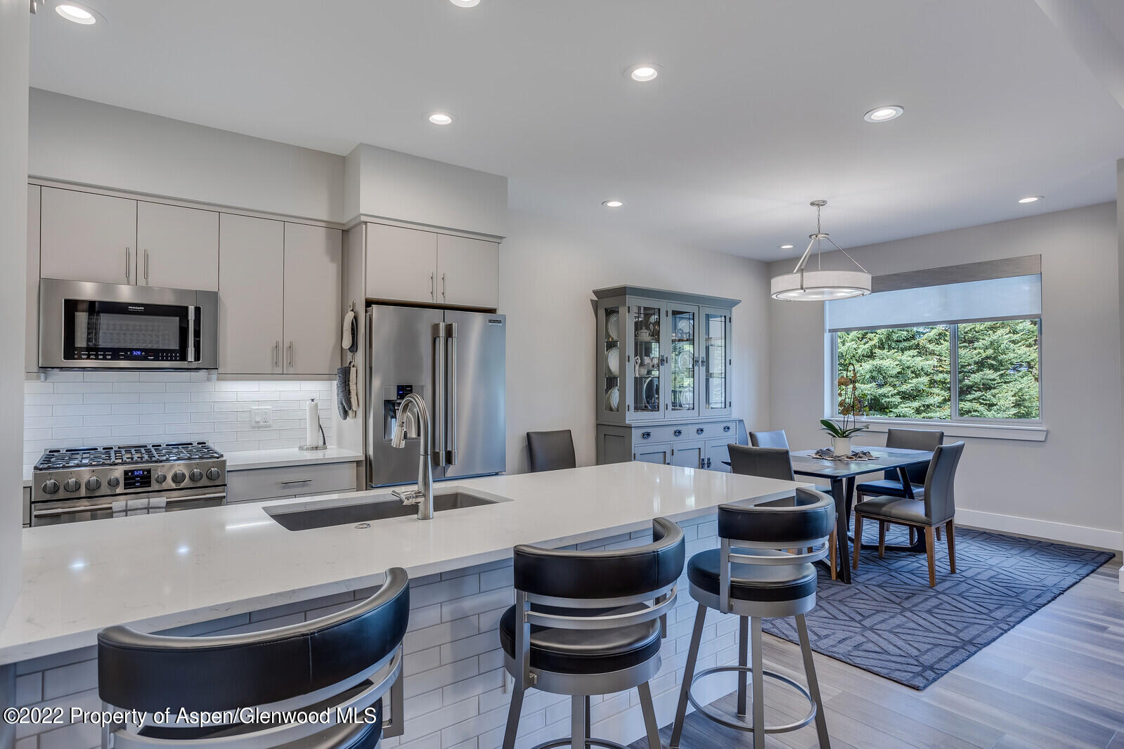 208 Lewies Circle Carbondale CO 81623