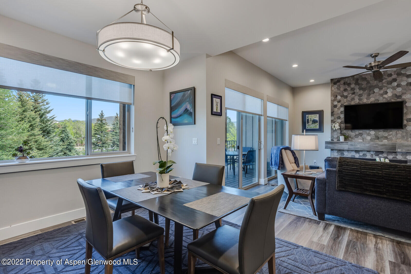 208 Lewies Circle Carbondale CO 81623