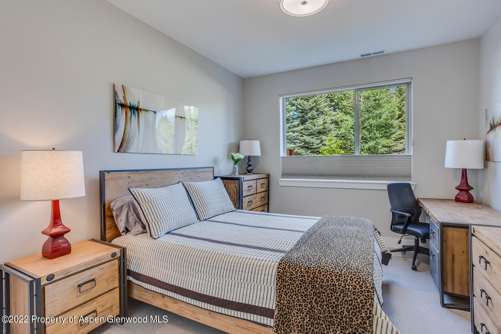208 Lewies Circle Carbondale CO 81623