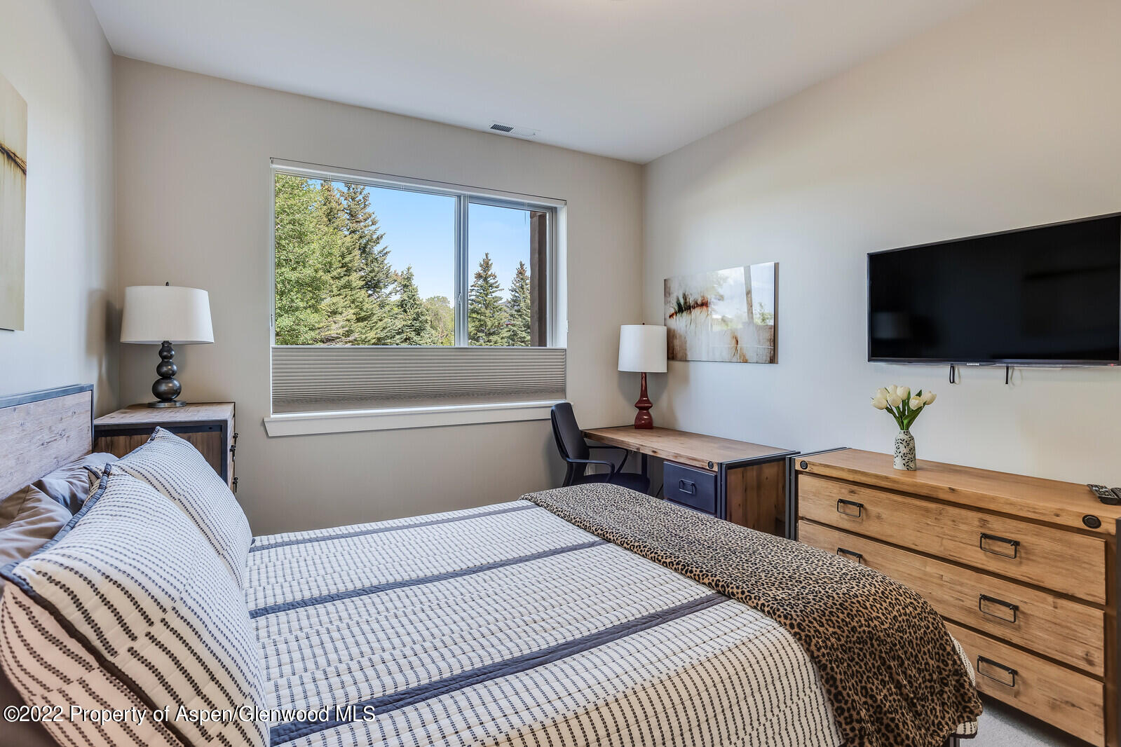 208 Lewies Circle Carbondale CO 81623