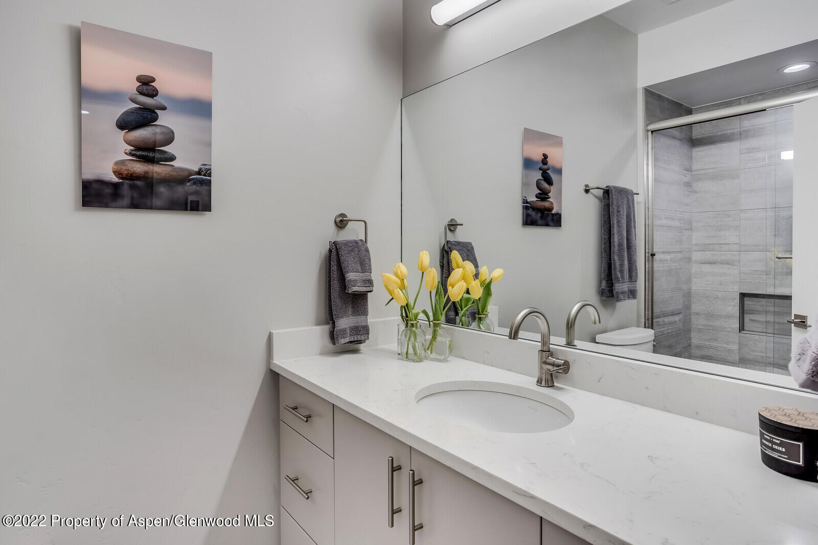 208 Lewies Circle Carbondale CO 81623