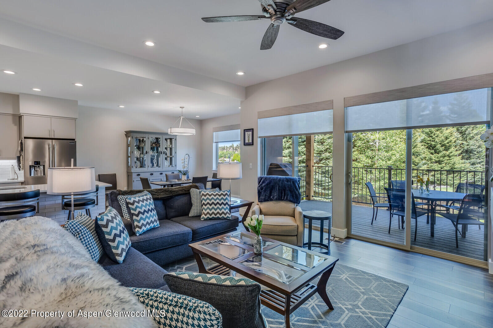 208 Lewies Circle Carbondale CO 81623