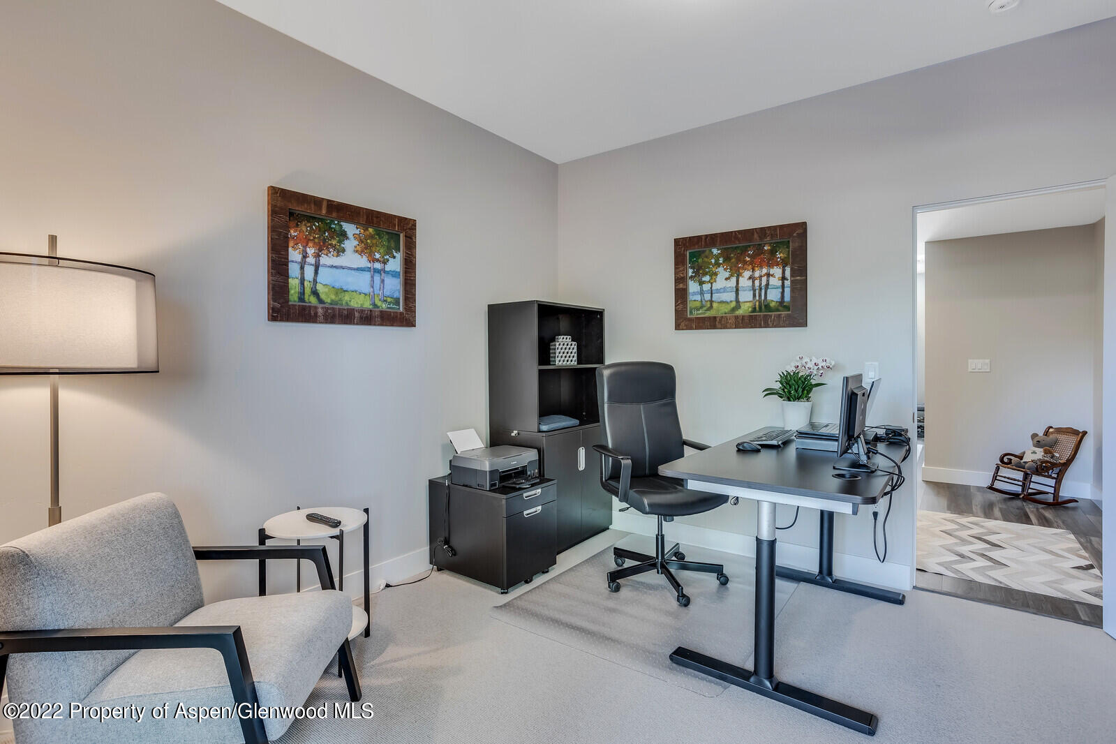 208 Lewies Circle Carbondale CO 81623