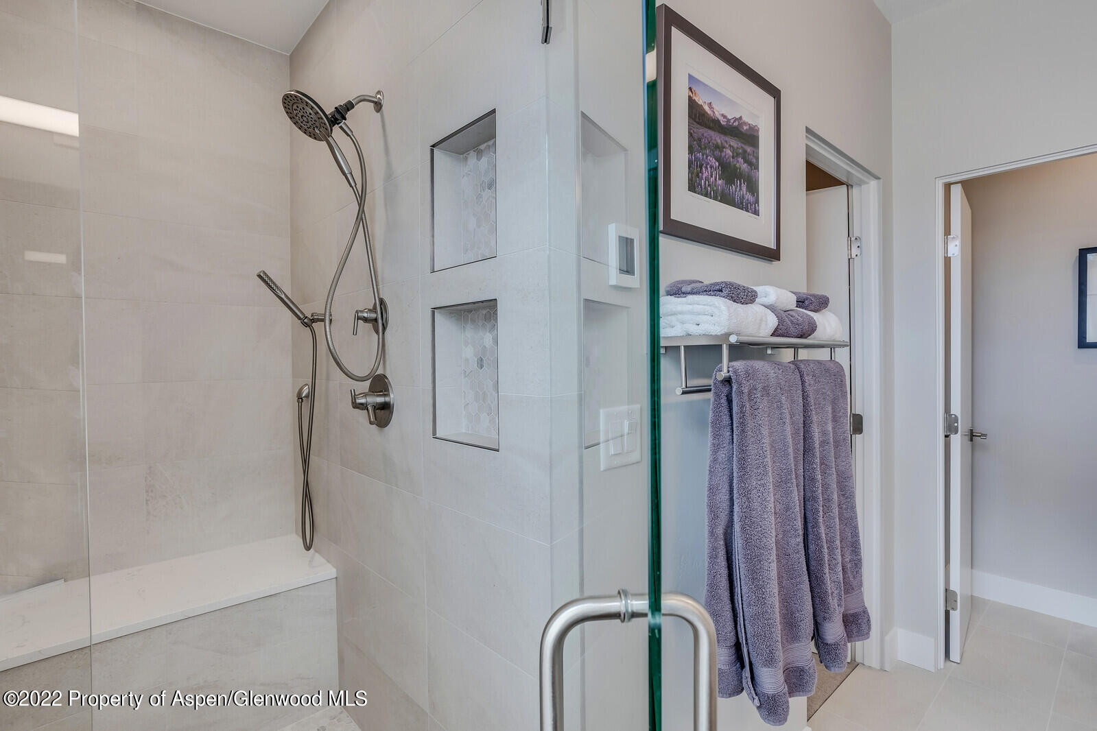 208 Lewies Circle Carbondale CO 81623