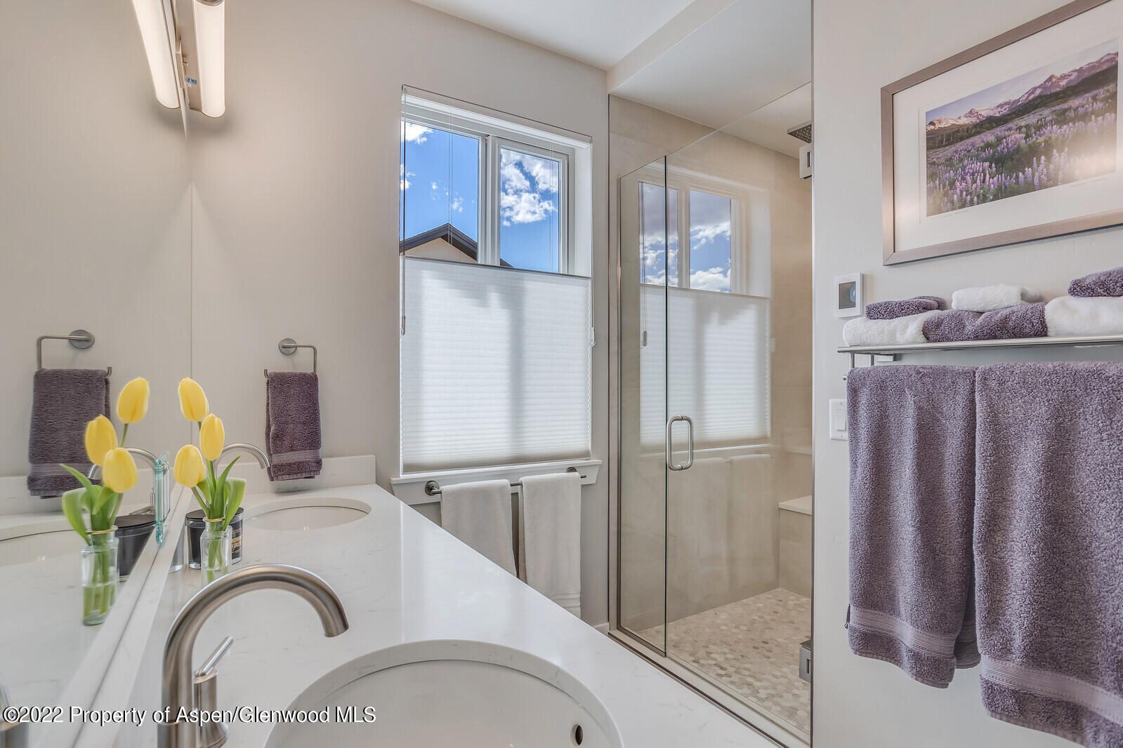 208 Lewies Circle Carbondale CO 81623