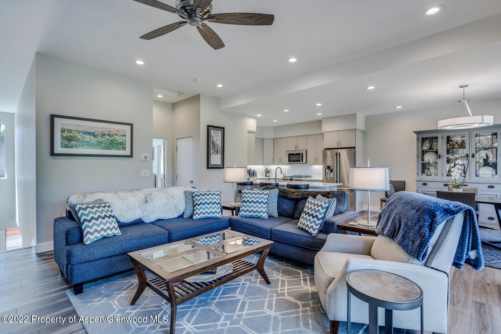208 Lewies Circle Carbondale CO 81623