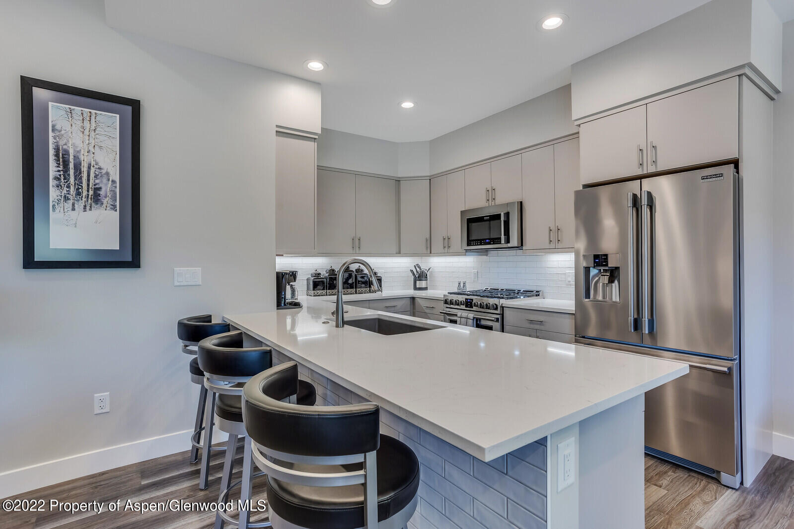 208 Lewies Circle Carbondale CO 81623