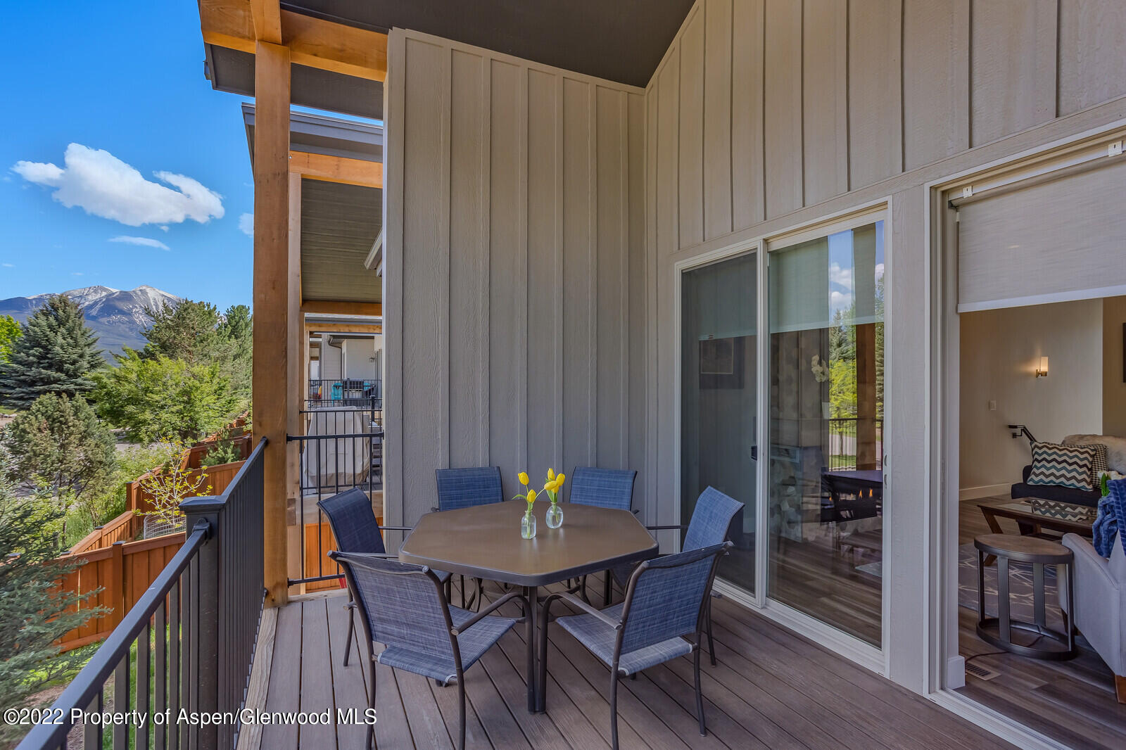 208 Lewies Circle Carbondale CO 81623