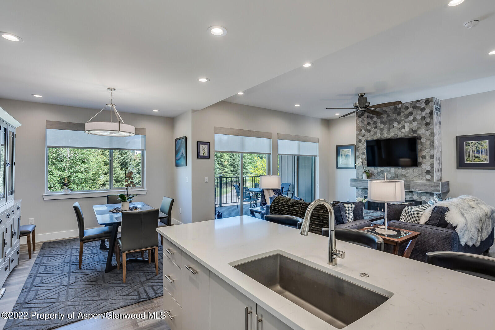 208 Lewies Circle Carbondale CO 81623