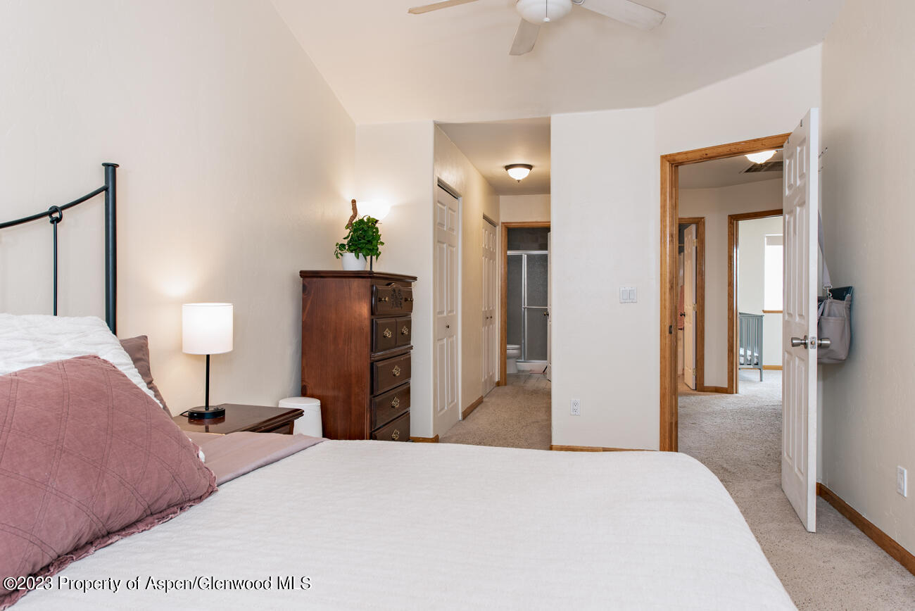 1428 Domelby Court Silt CO 81652