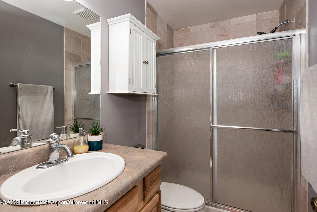 1428 Domelby Court Silt CO 81652