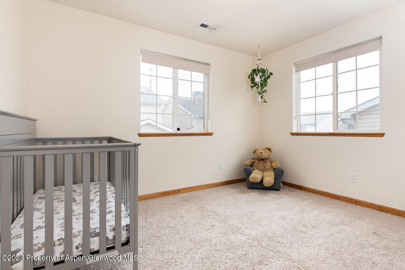 1428 Domelby Court Silt CO 81652