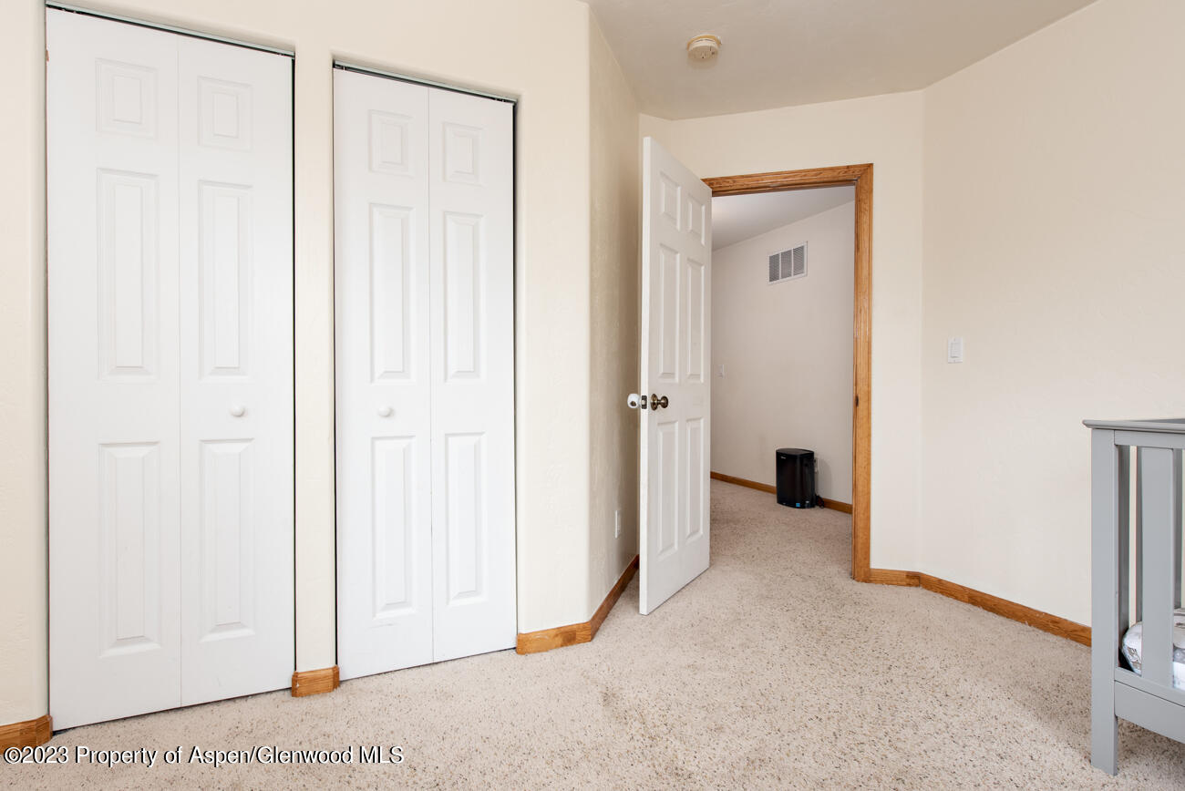 1428 Domelby Court Silt CO 81652