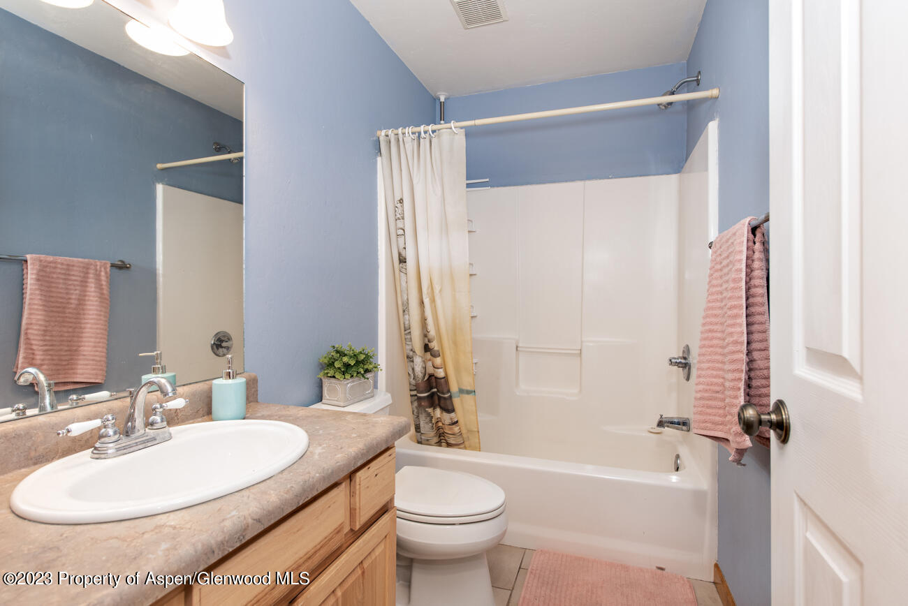 1428 Domelby Court Silt CO 81652