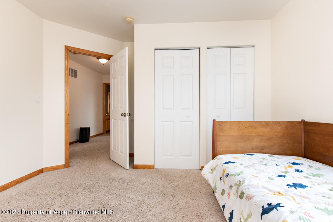 1428 Domelby Court Silt CO 81652