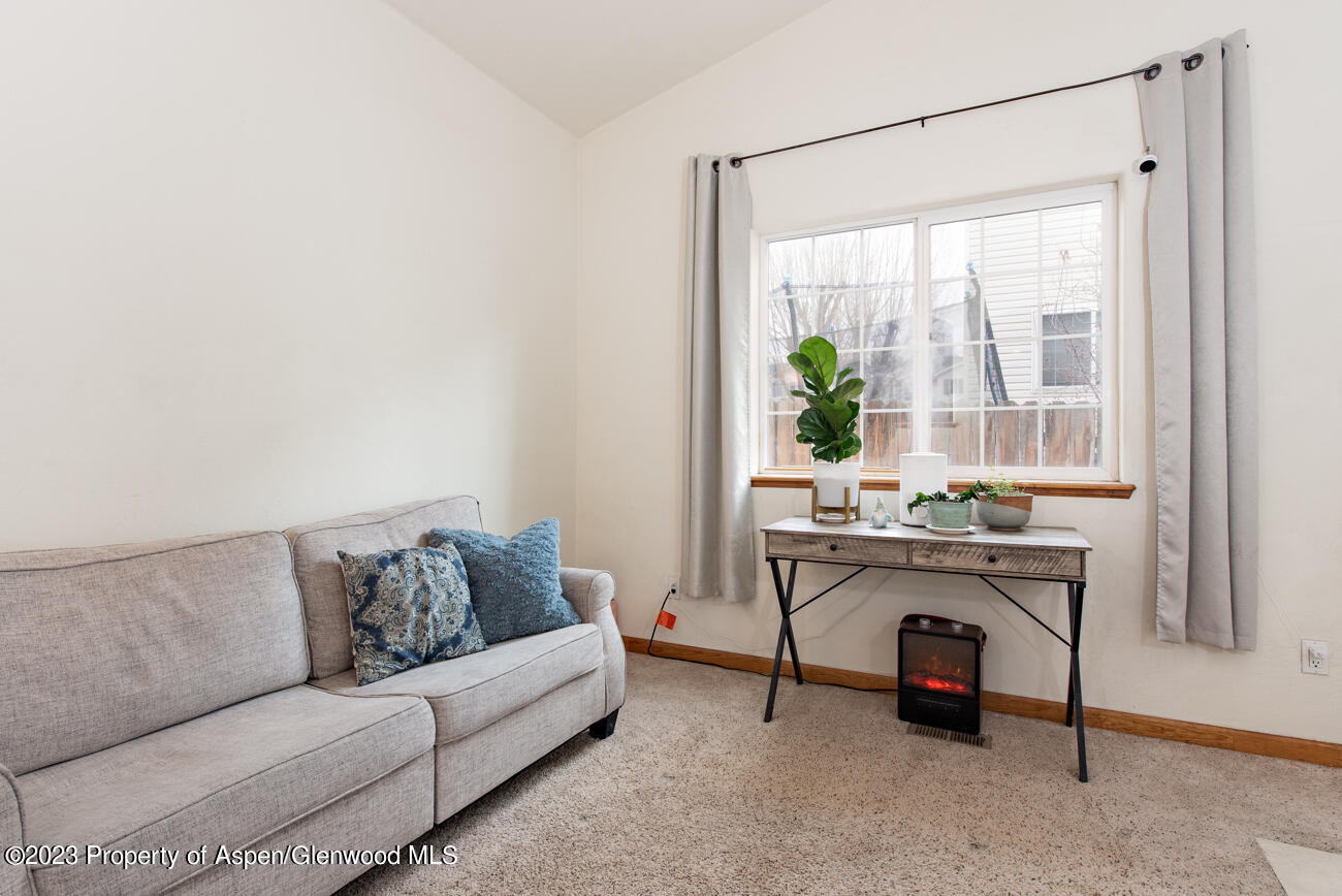 1428 Domelby Court Silt CO 81652