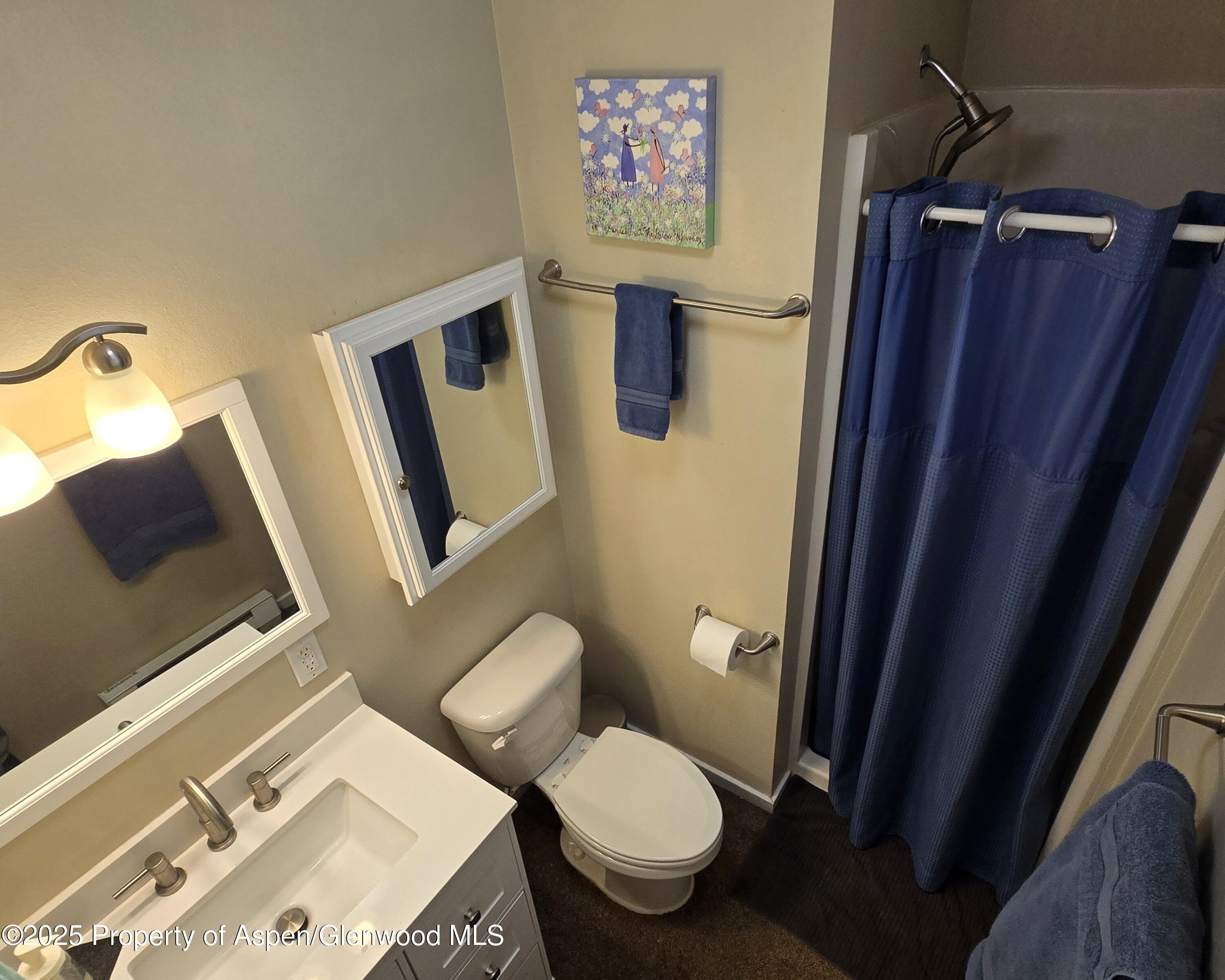 175 Midland Avenue Basalt CO 81621