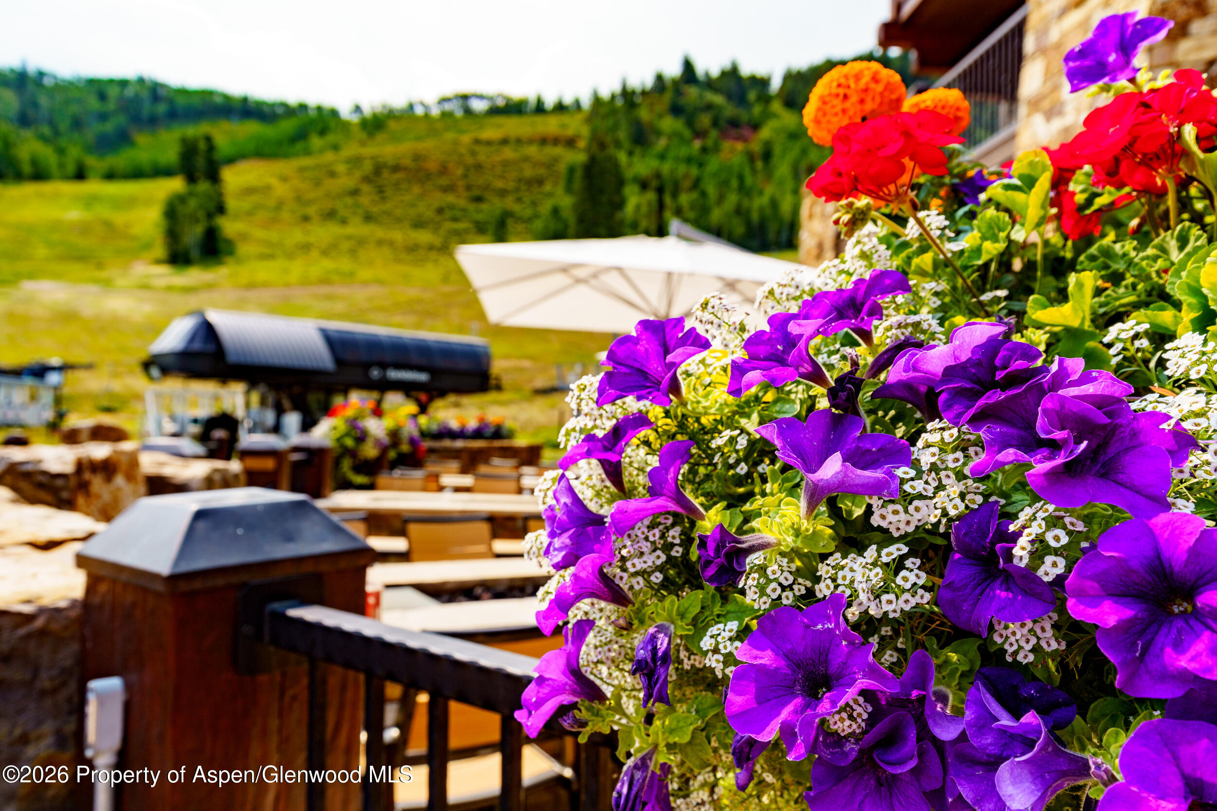 39 Boomerang Road Aspen CO 81611