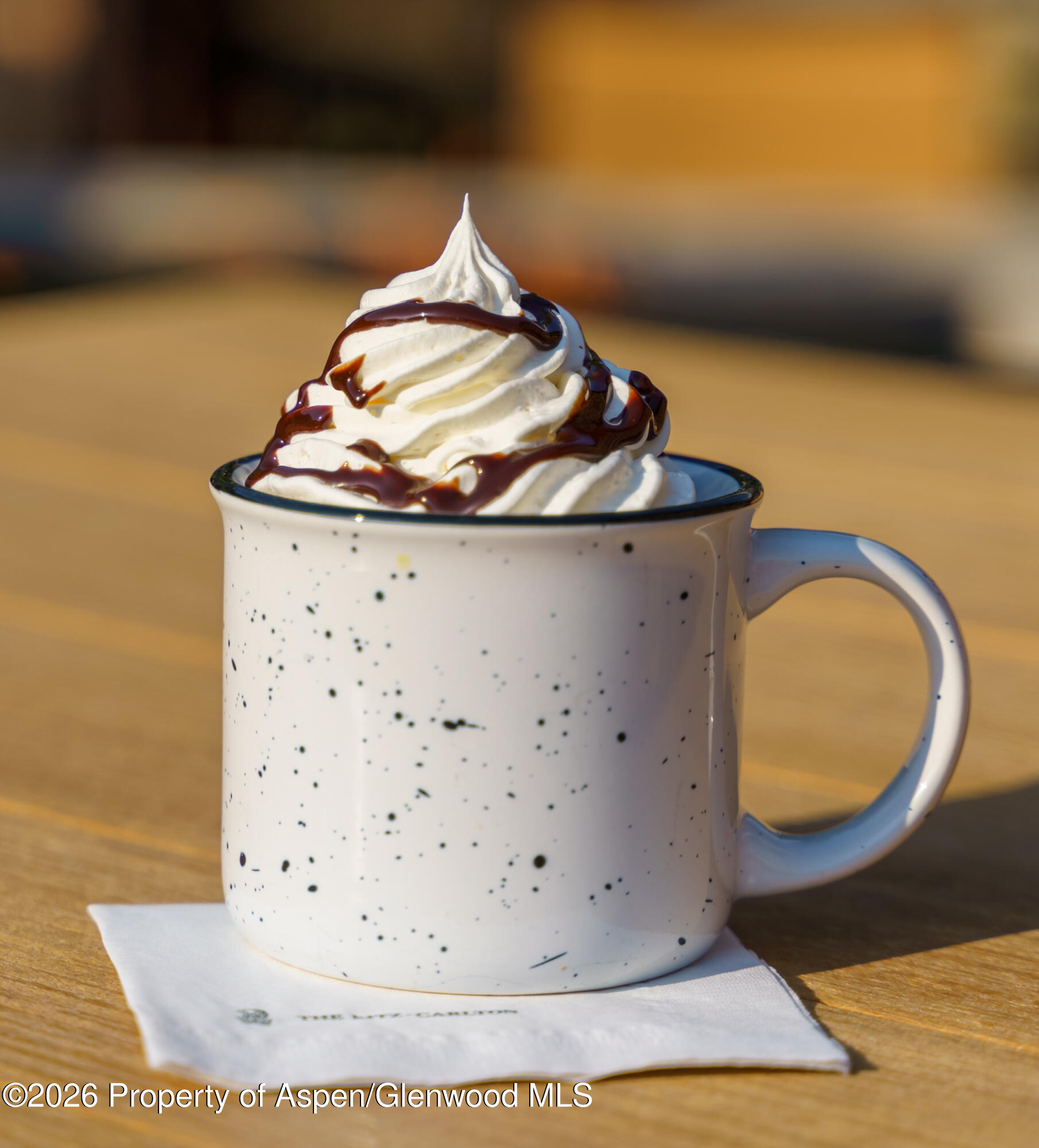 39 Boomerang Road Aspen CO 81611