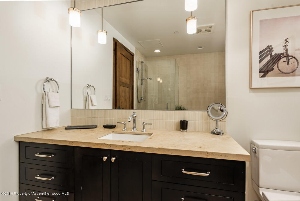 233 E Cooper Avenue Aspen CO 81611
