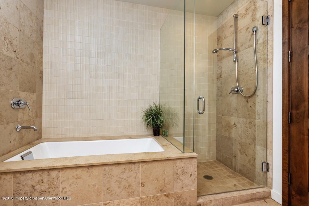 233 E Cooper Avenue Aspen CO 81611