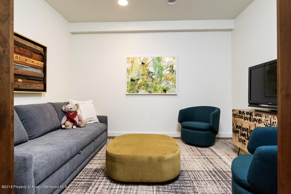 233 E Cooper Avenue Aspen CO 81611