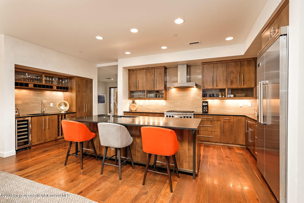 233 E Cooper Avenue Aspen CO 81611